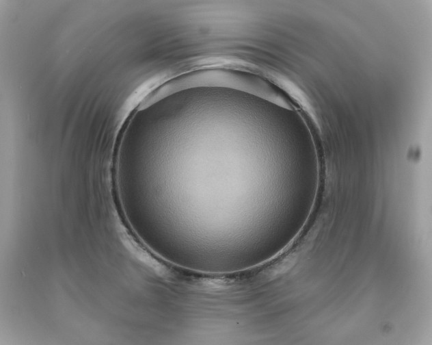X0000091581330200709051052
