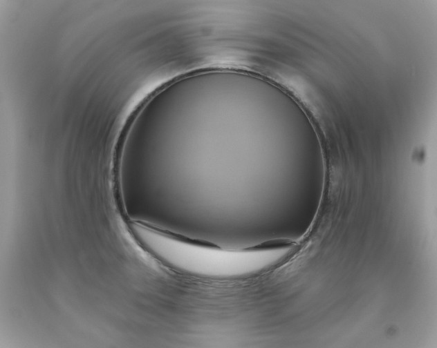 X0000091581331200709051052