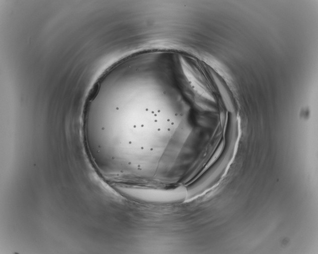 X0000091581334200709051052