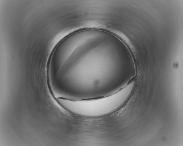 X0000091581335200709051052
