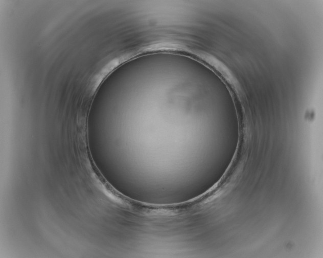 X0000091581337200709051052