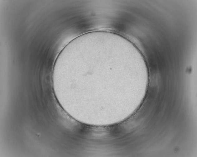 X0000091581338200709051052