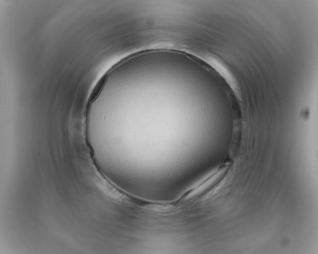 X0000091581340200709051052