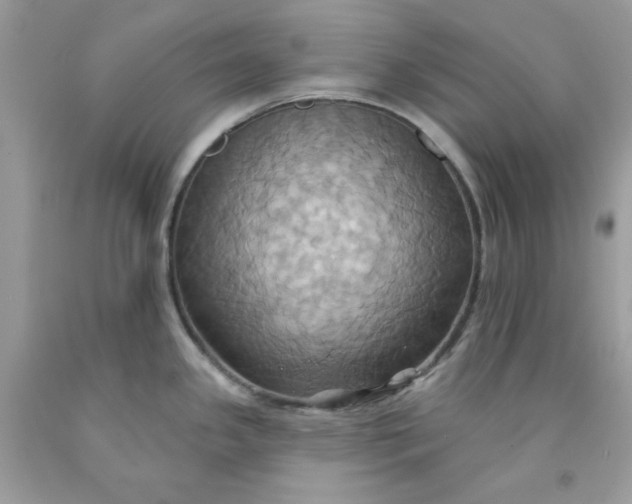 X0000091581341200709051052