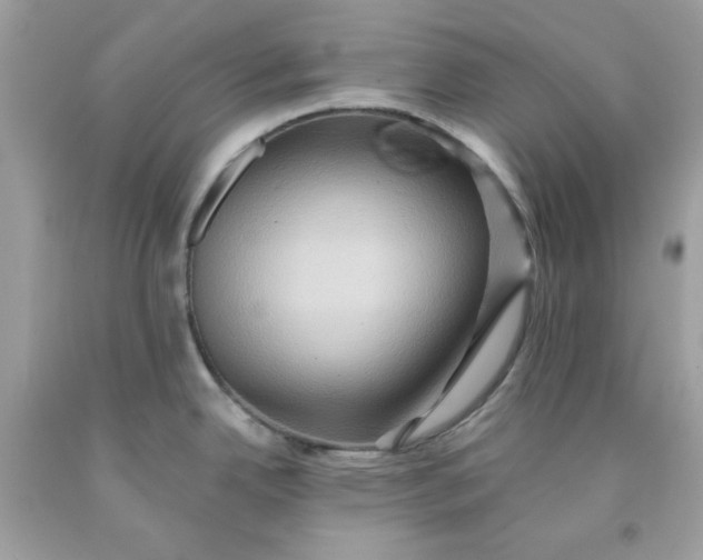 X0000091581342200709051052