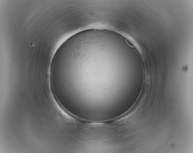 X0000091581343200709051052