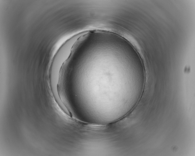 X0000091581344200709051052
