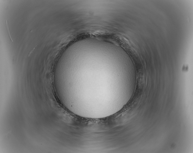 X0000091581345200709051052