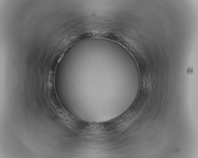 X0000091581346200709051052