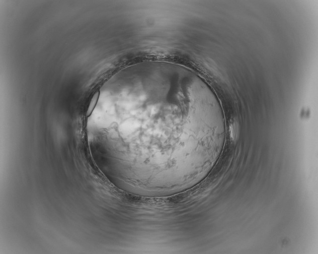 X0000091581347200709051052
