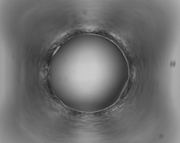 X0000091581349200709051052
