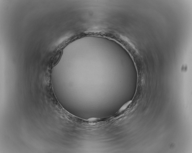 X0000091581350200709051052