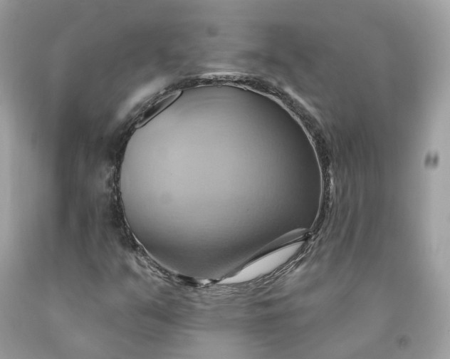 X0000091581351200709051052