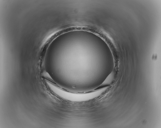 X0000091581352200709051051