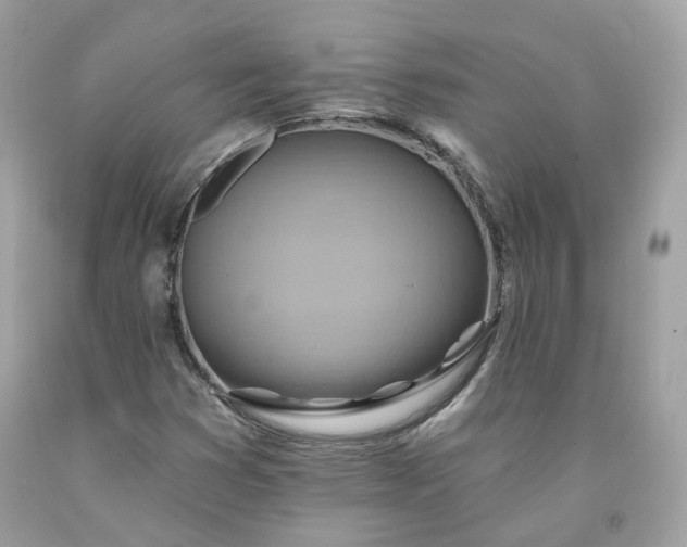 X0000091581353200709051051
