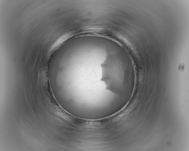 X0000091581354200709051051