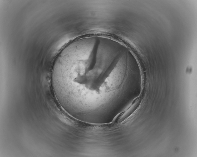 X0000091581355200709051051