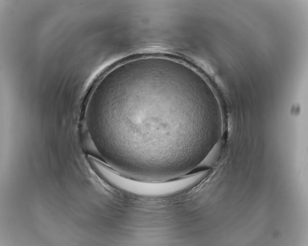 X0000091581356200709051051