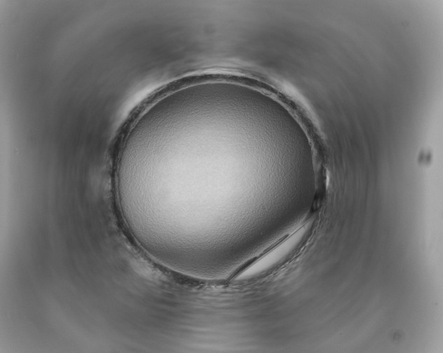 X0000091581360200709051051