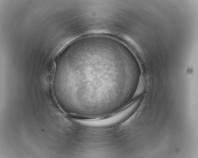X0000091581361200709051051