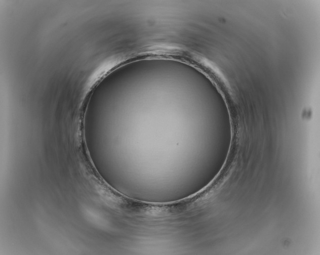 X0000091581362200709051051