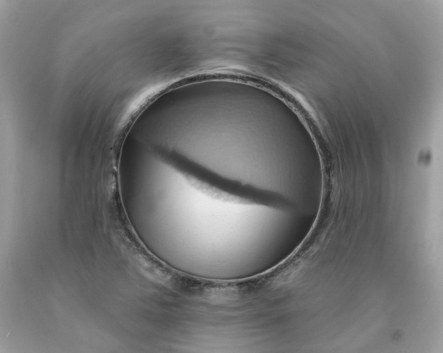 X0000091581363200709051051