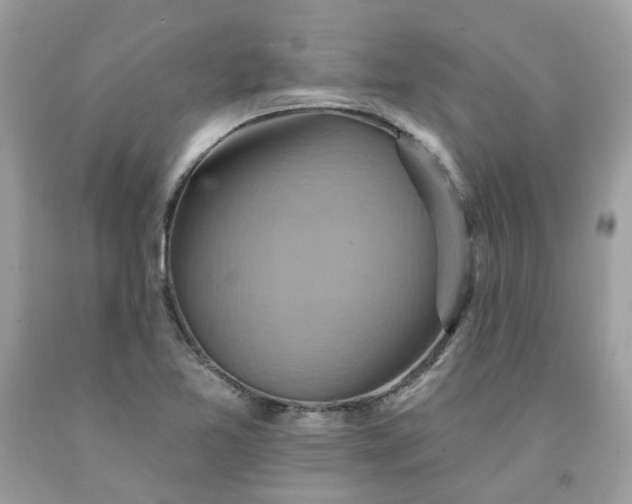 X0000091581365200709051051
