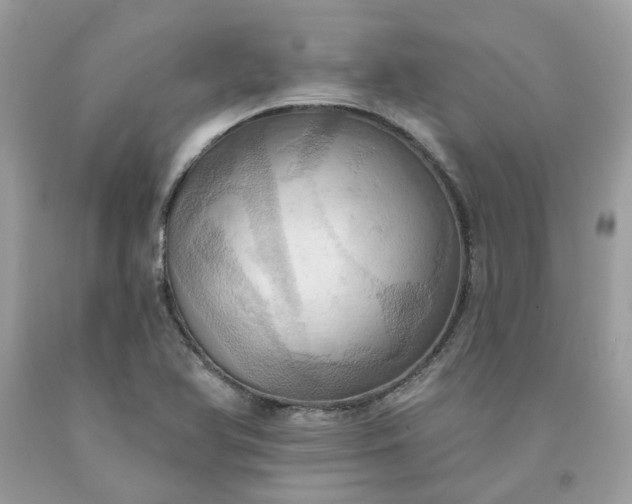 X0000091581366200709051051