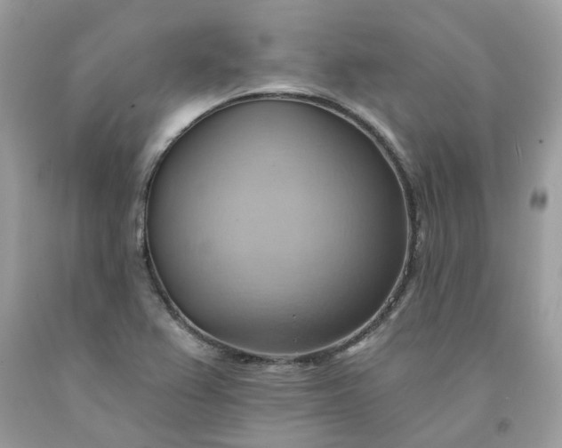 X0000091581367200709051051