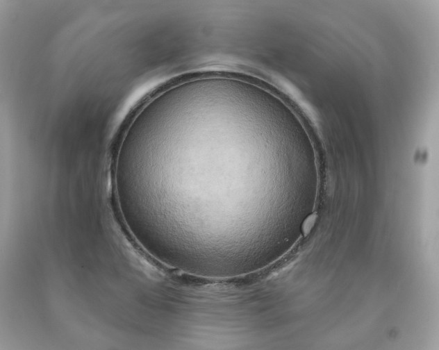 X0000091581368200709051051