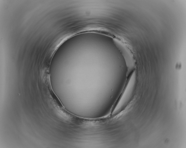 X0000091581369200709051051