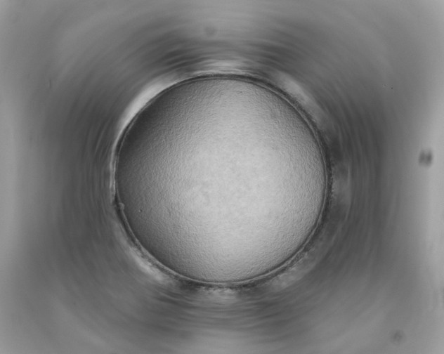 X0000091581370200709051051