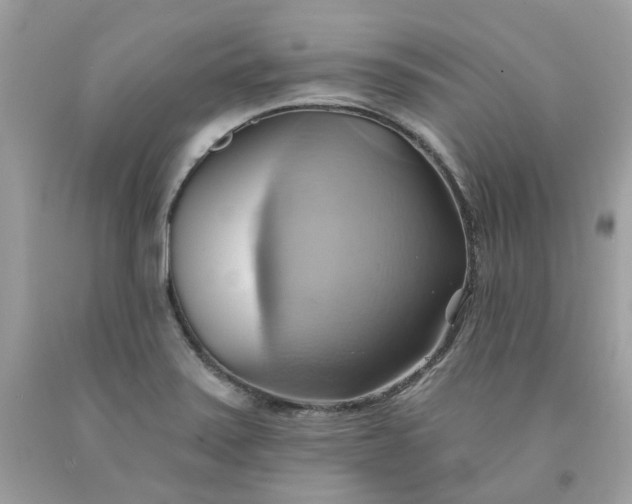 X0000091581371200709051051