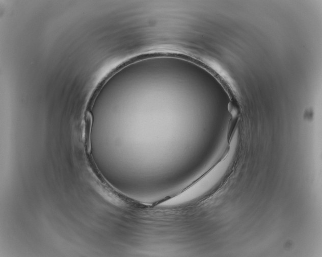X0000091581372200709051051