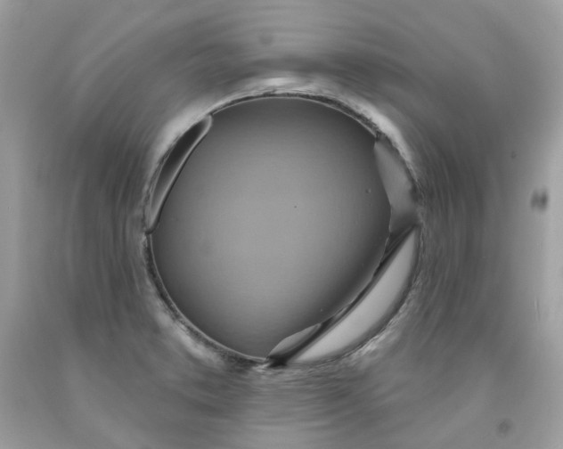 X0000091581373200709051051