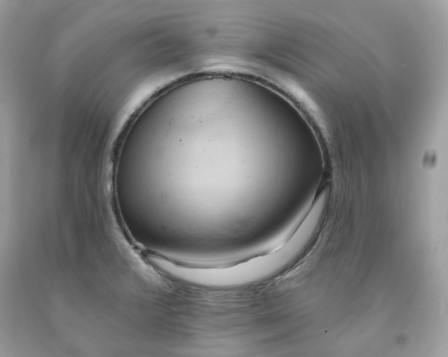 X0000091581376200709051051
