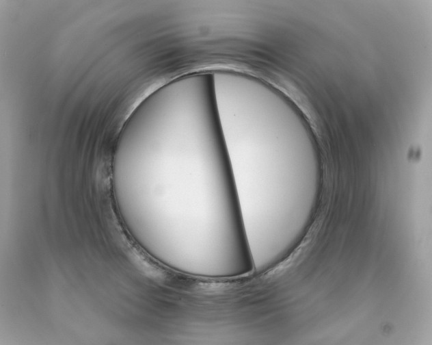 X0000091581377200709051051