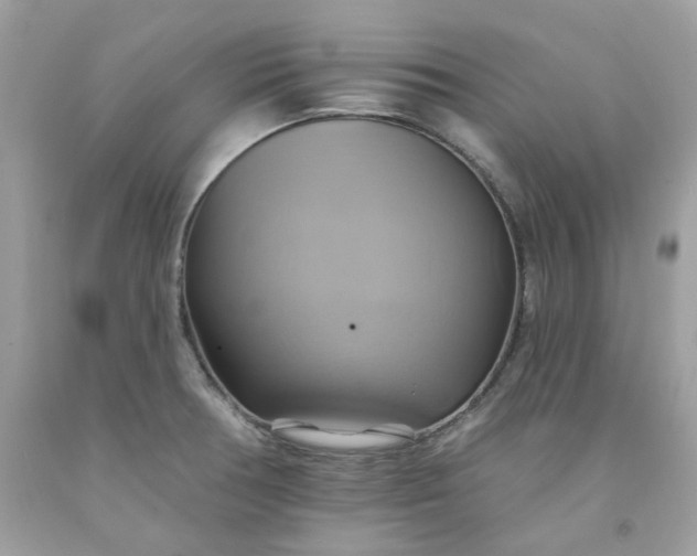 X0000091581378200709051051