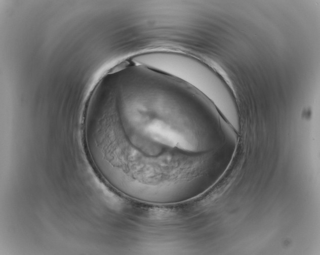 X0000091581379200709051051
