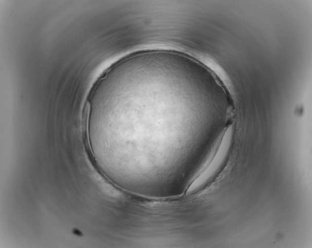 X0000091581380200709051051