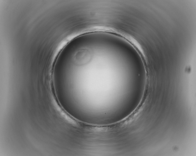 X0000091581381200709051051