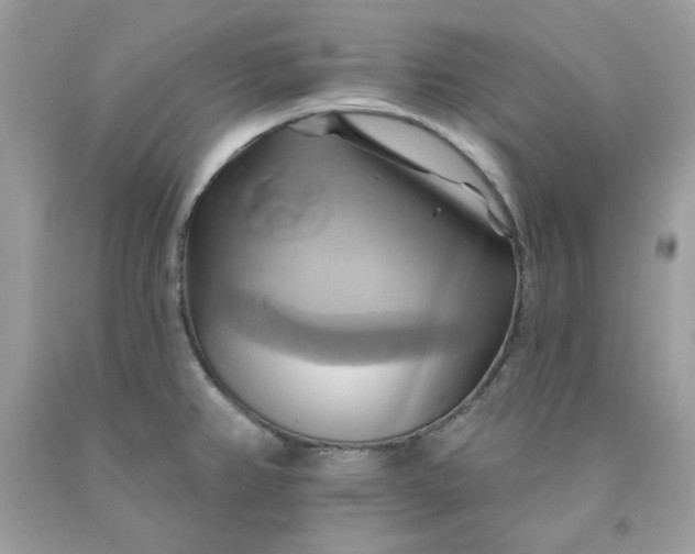 X0000091581382200709051051