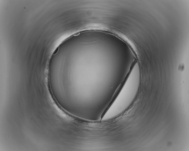 X0000091581383200709051051