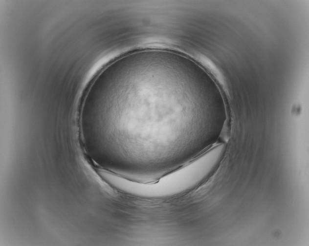 X0000091581384200709051051