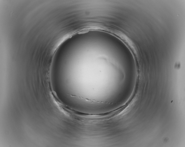 X0000091581385200709051051