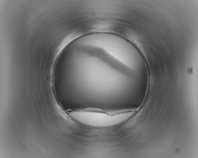 X0000091581386200709051051