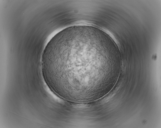 X0000091581387200709051051