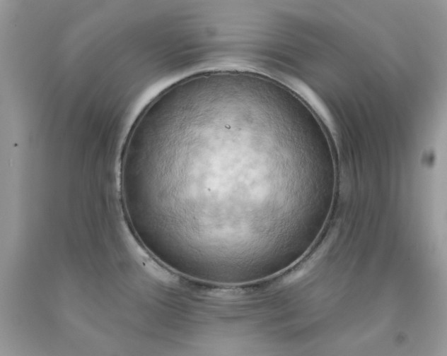 X0000091581388200709051051