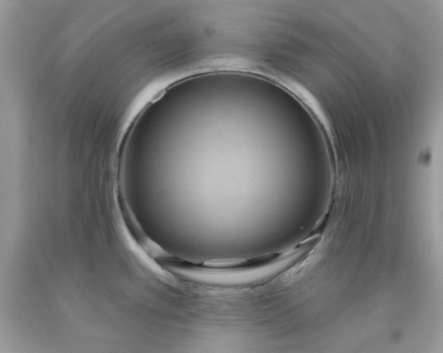 X0000091581389200709051051