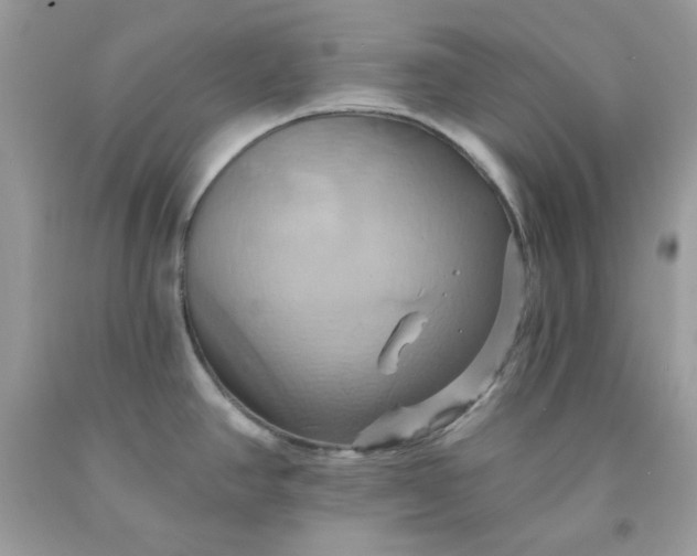X0000091581390200709051051